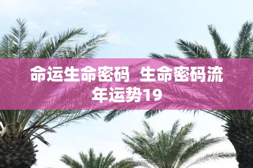 命运生命密码 生命密码流年运势19