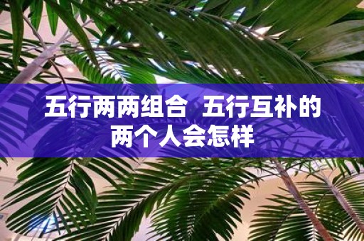 五行两两组合 五行互补的两个人会怎样