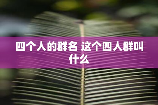 四个人的群名 这个四人群叫什么