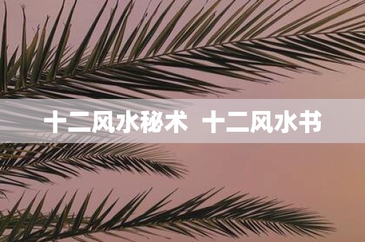 十二风水秘术 十二风水书