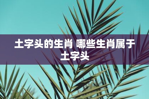 土字头的生肖 哪些生肖属于土字头