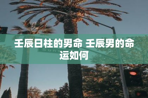 壬辰日柱的男命 壬辰男的命运如何