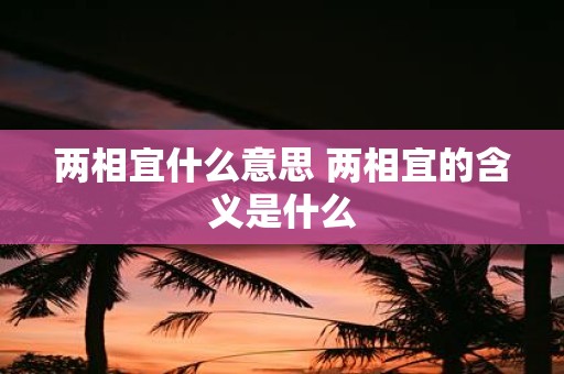 两相宜什么意思 两相宜的含义是什么