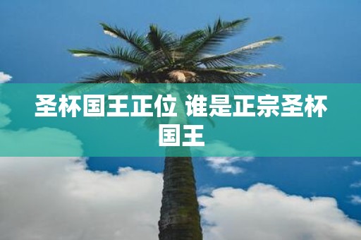 圣杯国王正位 谁是正宗圣杯国王
