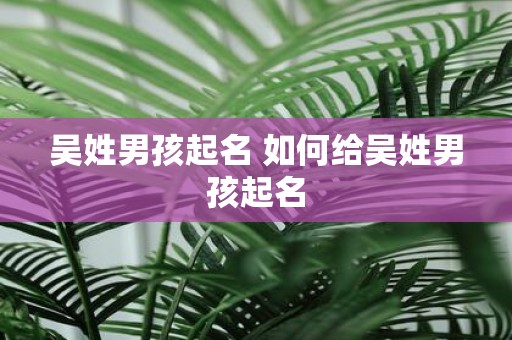 吴姓男孩起名 如何给吴姓男孩起名