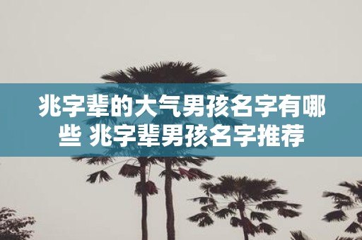 兆字辈的大气男孩名字有哪些 兆字辈男孩名字推荐