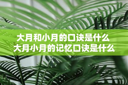 大月和小月的口诀是什么 大月小月的记忆口诀是什么