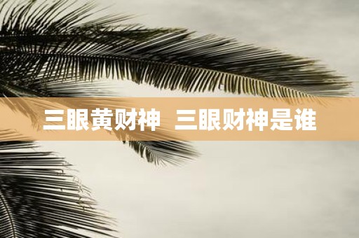 三眼黄财神 三眼财神是谁