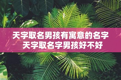 天字取名男孩有寓意的名字 天字取名字男孩好不好