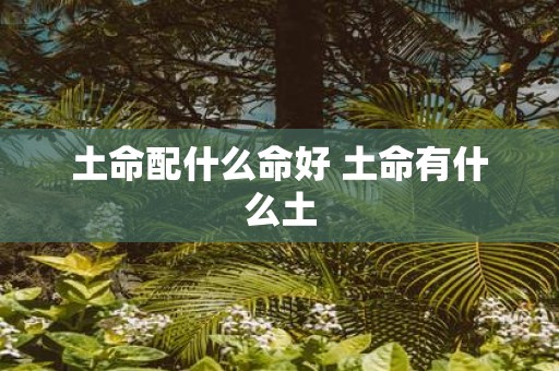 土命配什么命好 土命有什么土