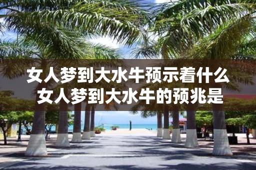 女人梦到大水牛预示着什么 女人梦到大水牛的预兆是什么