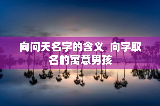 向问天名字的含义 向字取名的寓意男孩