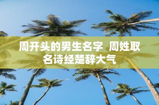 周开头的男生名字 周姓取名诗经楚辞大气