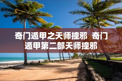 奇门遁甲之天师撞邪 奇门遁甲第二部天师撞邪