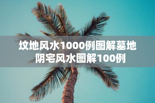 坟地风水1000例图解墓地 阴宅风水图解100例