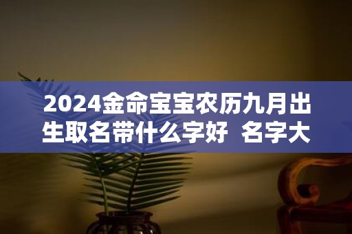 2025金命宝宝农历九月出生取名带什么字好 名字大全阳光有活力