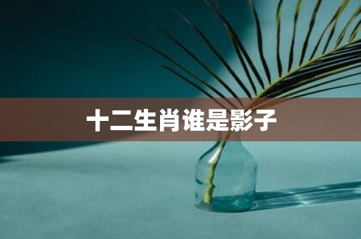 十二生肖谁是影子