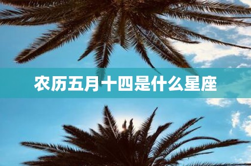 农历五月十四是什么星座