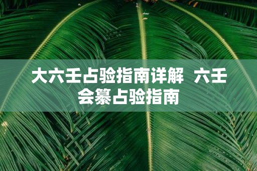 大六壬占验指南详解 六壬会纂占验指南