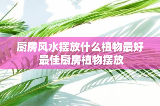 厨房风水摆放什么植物最好 最佳厨房植物摆放