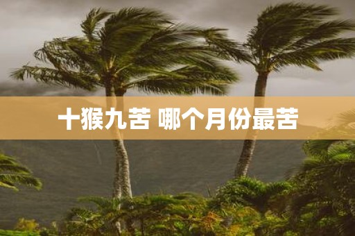 十猴九苦 哪个月份最苦