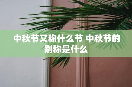 中秋节又称什么节 中秋节的别称是什么