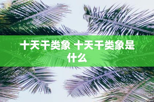 十天干类象 十天干类象是什么
