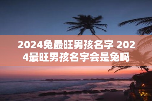 2025兔最旺男孩名字 2025最旺男孩名字会是兔吗