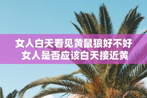 女人白天看见黄鼠狼好不好 女人是否应该白天接近黄鼠狼