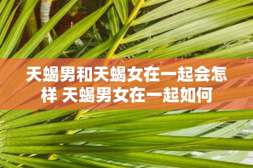 天蝎男和天蝎女在一起会怎样 天蝎男女在一起如何