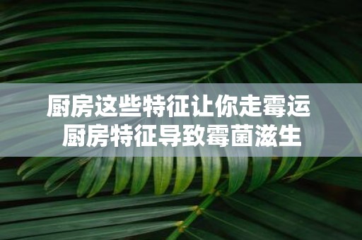 厨房这些特征让你走霉运 厨房特征导致霉菌滋生
