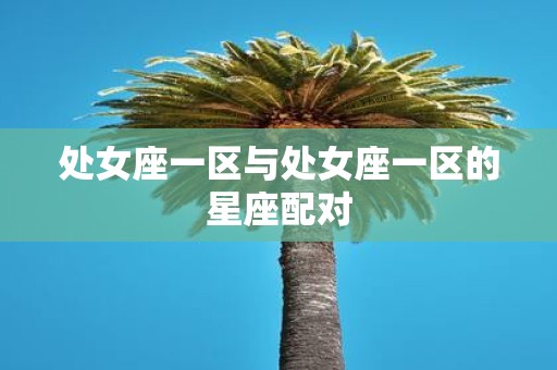 处女座一区与处女座一区的星座配对
