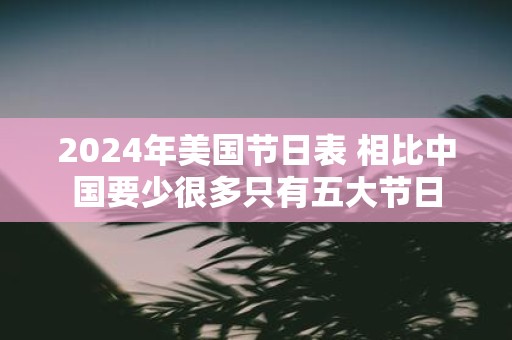 2025年美国节日表 相比中国要少很多只有五大节日
