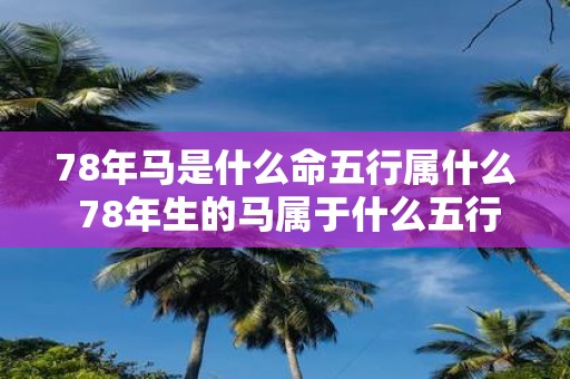 78年马是什么命五行属什么 78年生的马属于什么五行命