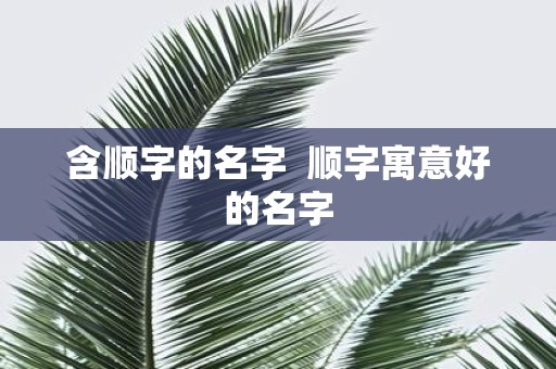 含顺字的名字 顺字寓意好的名字