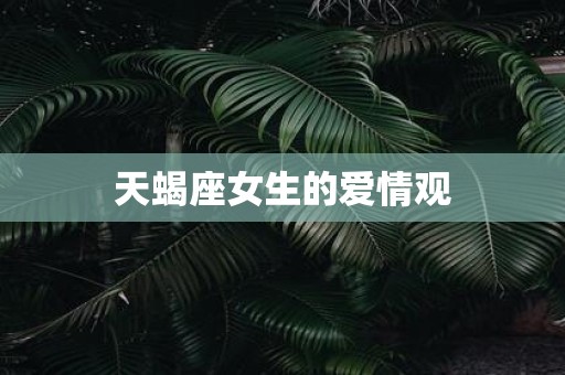 天蝎座女生的爱情观