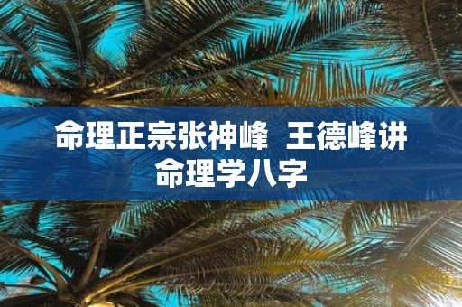命理正宗张神峰 王德峰讲命理学八字