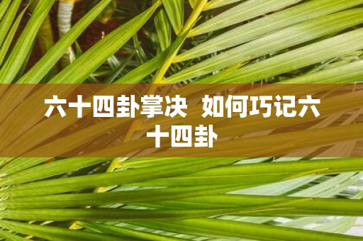 六十四卦掌决  如何巧记六十四卦