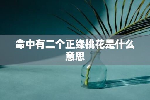 命中有二个正缘桃花是什么意思