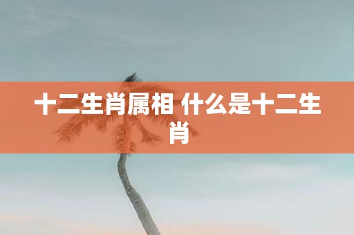 十二生肖属相 什么是十二生肖