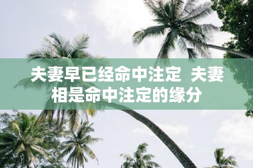 夫妻早已经命中注定 夫妻相是命中注定的缘分