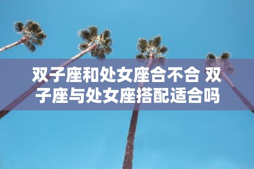 双子座和处女座合不合 双子座与处女座搭配适合吗
