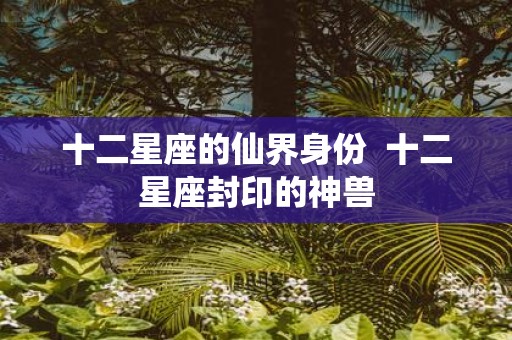 十二星座的仙界身份 十二星座封印的神兽