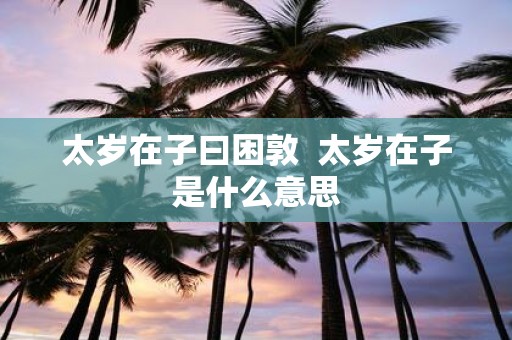 太岁在子曰困敦 太岁在子是什么意思