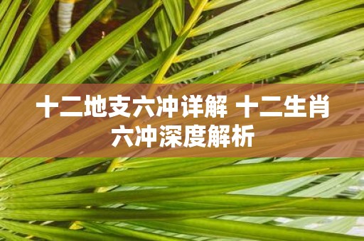 十二地支六冲详解 十二生肖六冲深度解析