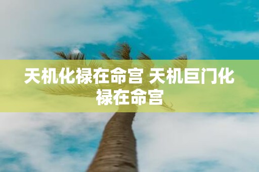 天机化禄在命宫 天机巨门化禄在命宫