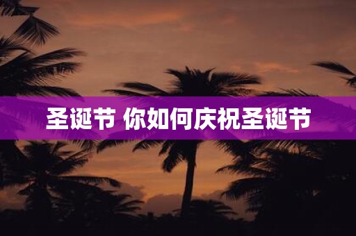 圣诞节 你如何庆祝圣诞节