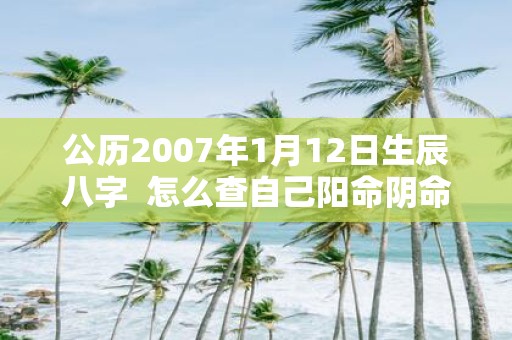 公历2007年1月12日生辰八字 怎么查自己阳命阴命