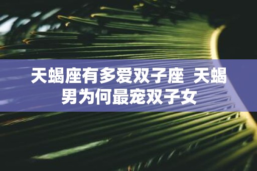 天蝎座有多爱双子座 天蝎男为何最宠双子女