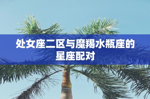 处女座二区与魔羯水瓶座的星座配对